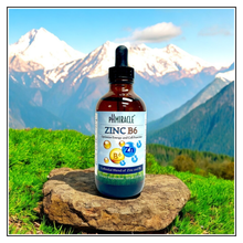 Load image into Gallery viewer, pH Miracle® Colloidal Zinc B6
