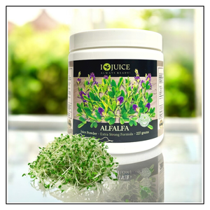 iJuice Alfalfa Sprouts