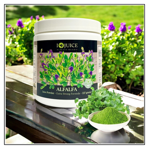 iJuice Alfalfa Sprouts