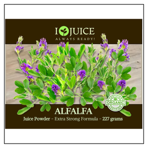 iJuice Alfalfa Sprouts