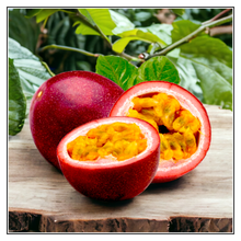 Load image into Gallery viewer, iJuice Passion Fruit