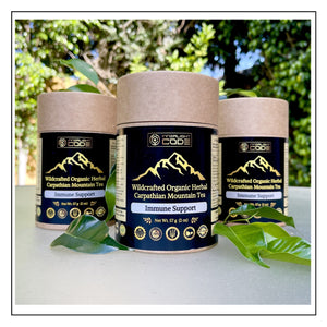Immune Support - Organic Wildcrafted  and Handpicked Herbal Carpathian Mountain Tea - 30 Servings