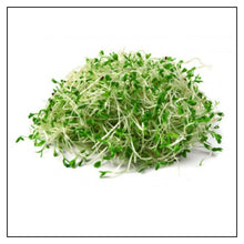 Load image into Gallery viewer, iJuice Alfalfa Sprouts